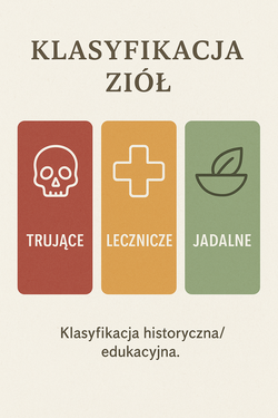 Ilustracja edukacyjna klasyfikacja ziół według medycyny chińskiej